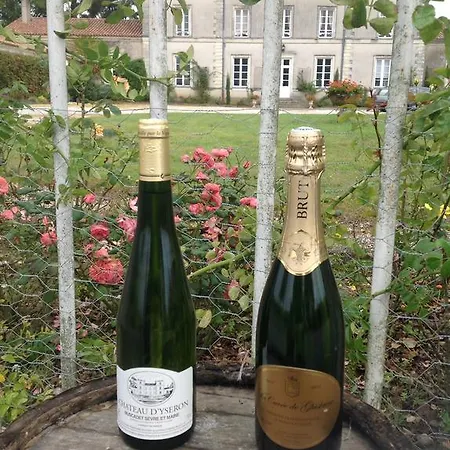 Chateau D'yseron Pensión 4*