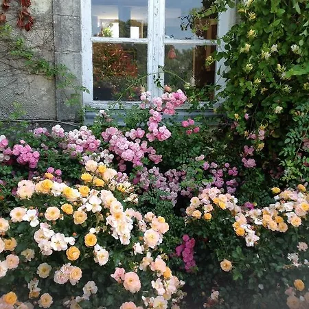 Pensión Chateau D'yseron Vallet