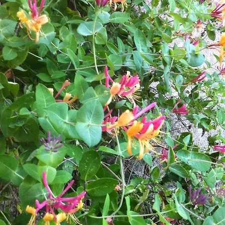 Chateau D'yseron Pensión