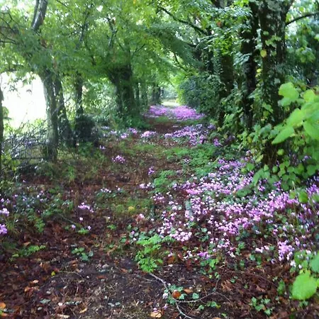 Chateau D'yseron Pensión Vallet