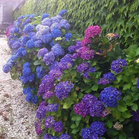 Chateau D'yseron Vallet