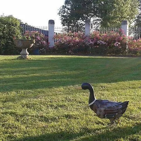 Chateau D'yseron Pensión