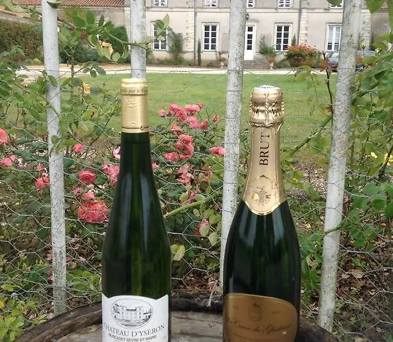 Chateau D'yseron Affittacamere 4*