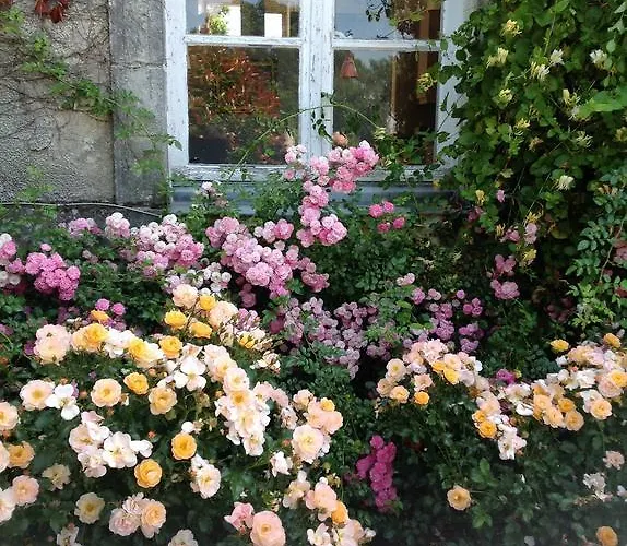 Affittacamere Chateau D'yseron Vallet