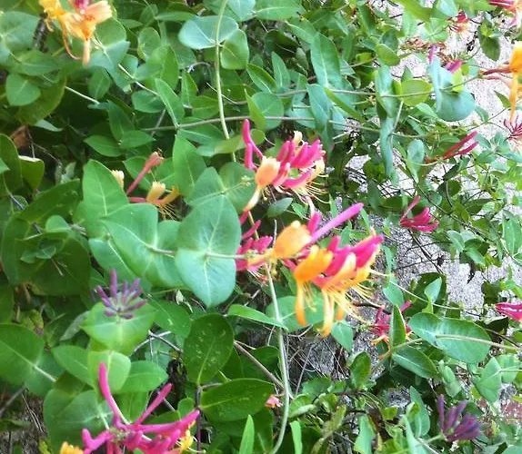 Chateau D'yseron Affittacamere