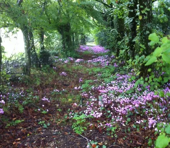 Chateau D'yseron Affittacamere Vallet