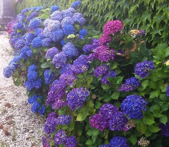 Chateau D'yseron Vallet