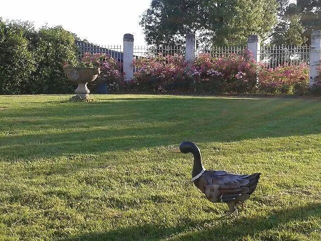 Chateau D'yseron Affittacamere