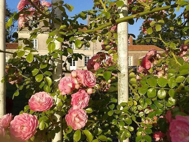 Affittacamere Chateau D'yseron 4*